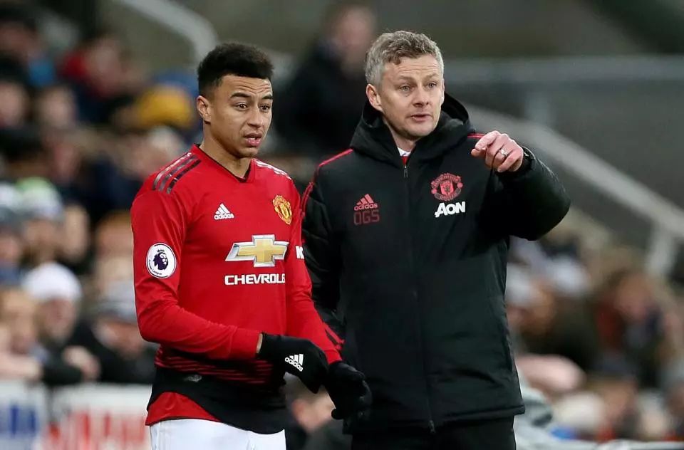 确立了强势 确立了强势